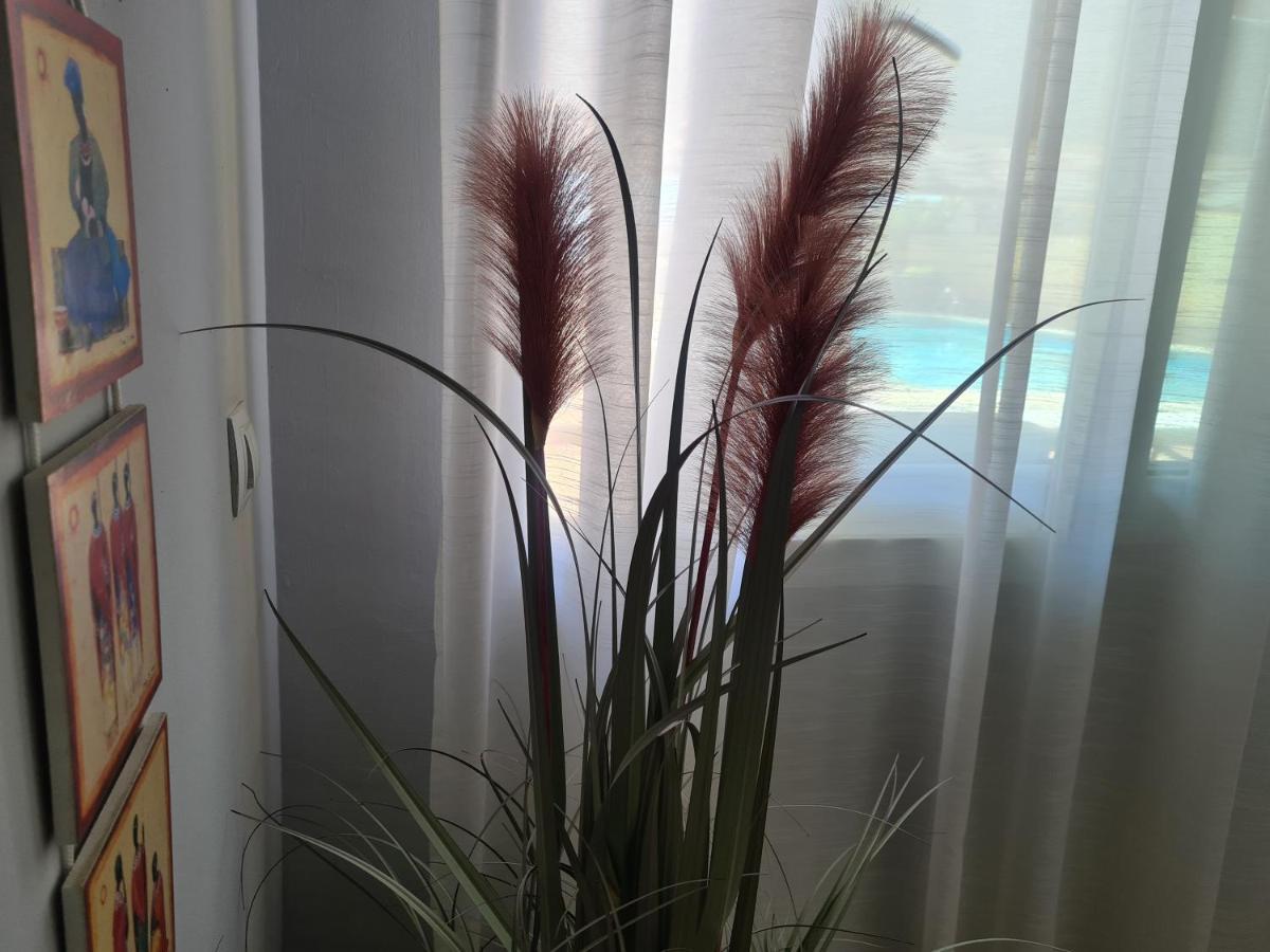 Apartamento El Remo Torremolinos Eksteriør billede